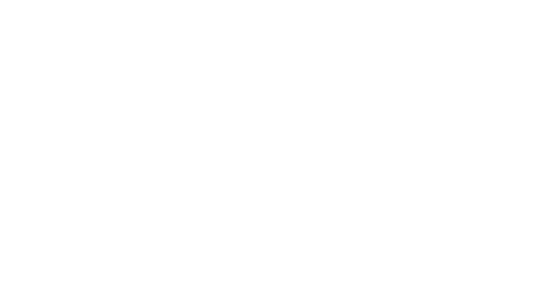 KATANA Bulls / カタナブルズ